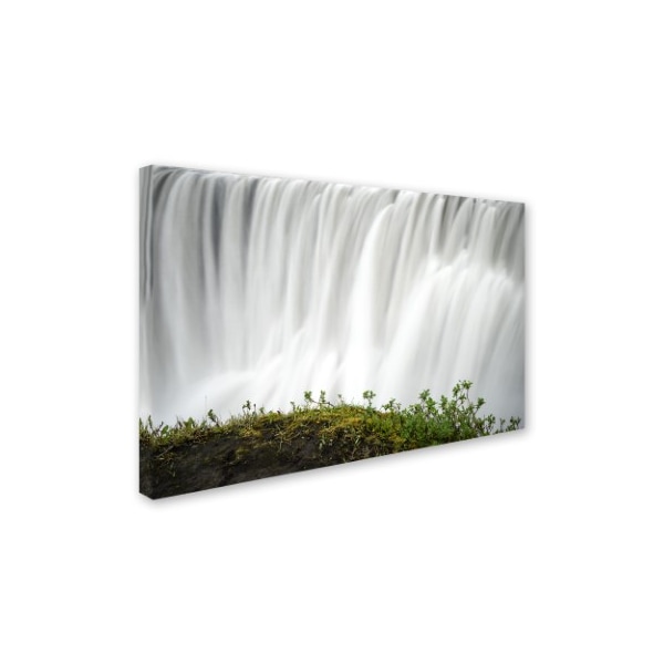 Philippe Sainte-Laudy 'Float' Canvas Art,30x47